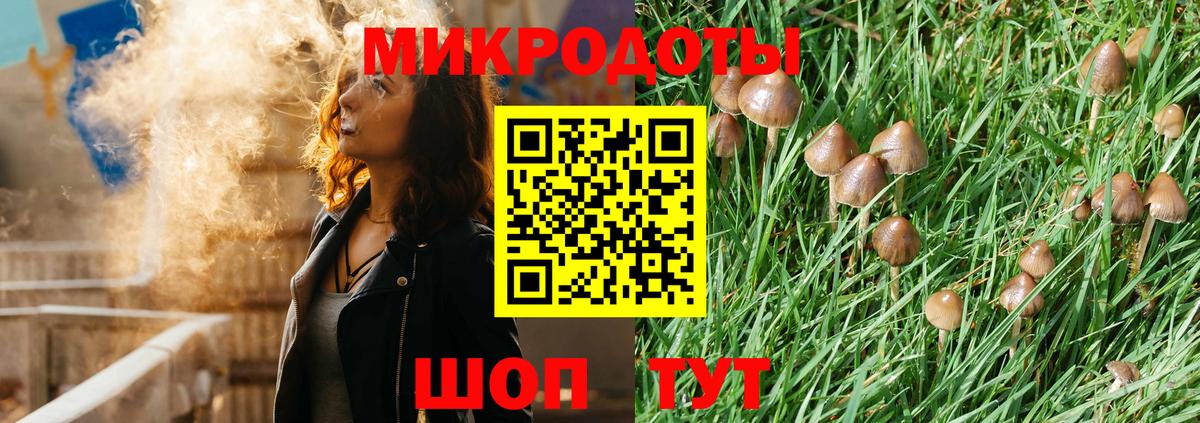Галлюциногенные грибы MAGIC MUSHROOMS Тимашёвск